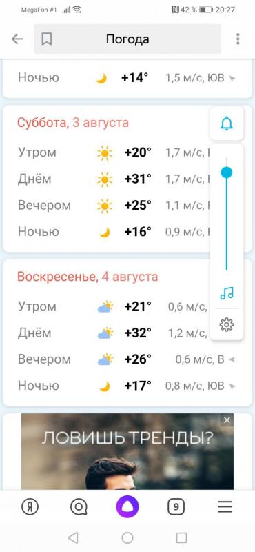 Screenshot_20190802_202725_ru.yandex.searchplugin.jpg